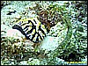 IMG_2775.JPG