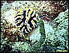 IMG_2776.JPG