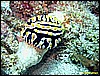 IMG_2777.JPG