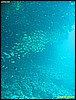 IMG_2778.JPG