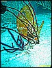 IMG_2787.JPG