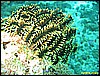 IMG_2793.JPG