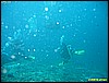 IMG_2794.JPG