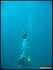 IMG_2795.JPG
