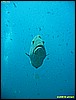 IMG_2796.JPG