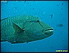 IMG_2797.JPG