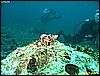 IMG_2800.JPG