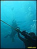 IMG_2802.JPG