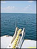 IMG_2808.JPG