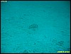 IMG_2816.JPG