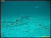IMG_2820.JPG