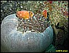IMG_2824.JPG