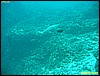 IMG_2836.JPG