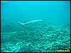 IMG_2837.JPG