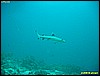 IMG_2838.JPG