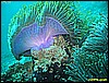 IMG_2840.JPG