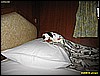 IMG_2855.JPG