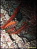 IMG_2864.JPG