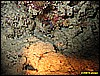 IMG_2873.JPG