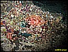 IMG_2876.JPG