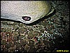 IMG_2888.JPG