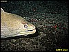 IMG_2889.JPG