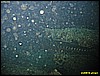 IMG_2900.JPG