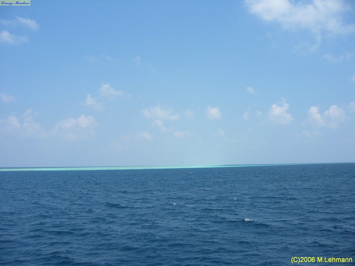 IMG_2962.JPG