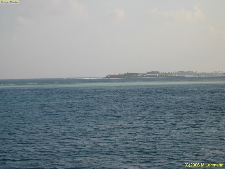 IMG_2979.JPG