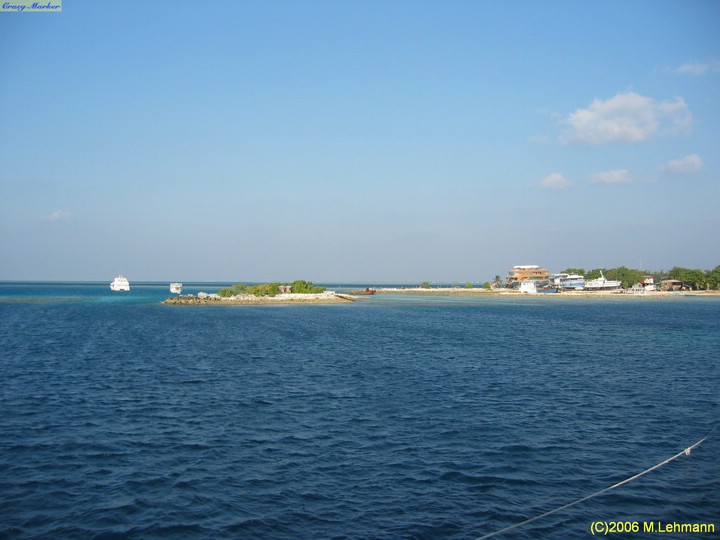 IMG_2981.JPG