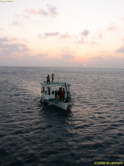 IMG_2996.JPG