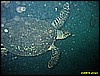 IMG_2914.JPG