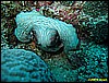 IMG_2938.JPG