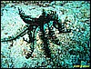 IMG_2940.JPG
