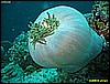 IMG_2946.JPG