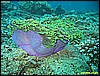 IMG_2948.JPG