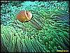 IMG_2949.JPG
