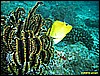 IMG_2950.JPG