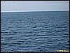 IMG_2956.JPG