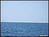 IMG_2957.JPG