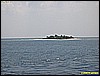 IMG_2959.JPG