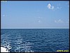IMG_2963.JPG