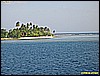IMG_2980.JPG