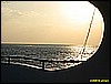 IMG_2990.JPG