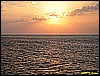 IMG_2992.JPG