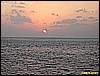 IMG_2993.JPG
