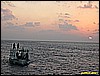 IMG_2995.JPG