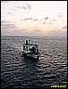 IMG_2996.JPG