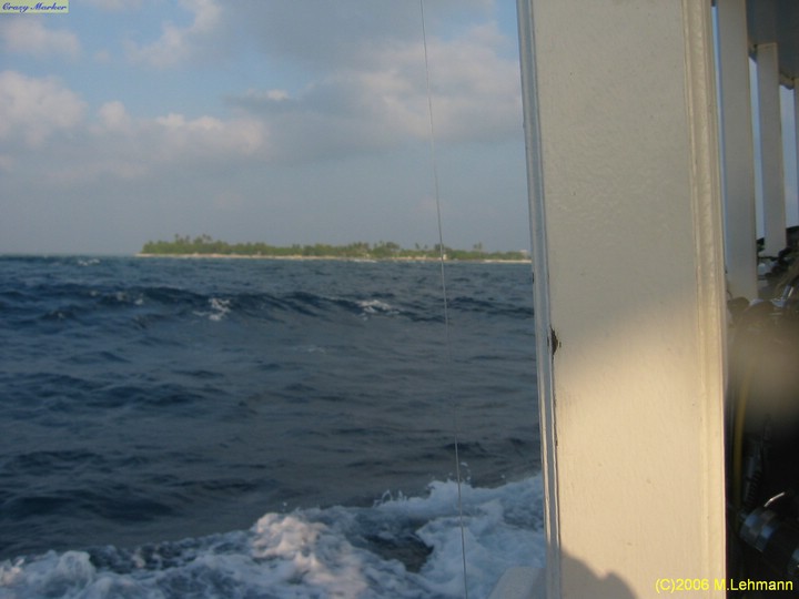 IMG_3006.JPG