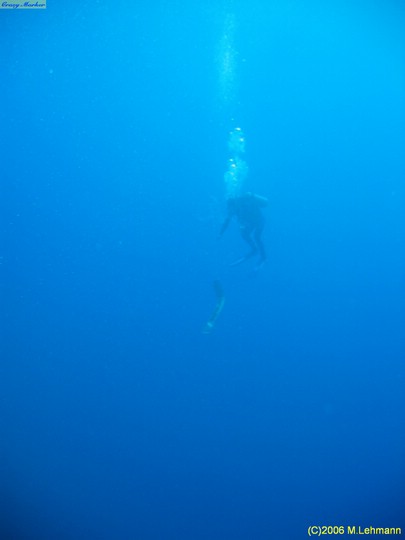 IMG_3048.JPG